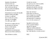 Suppôts et kamikazes...
